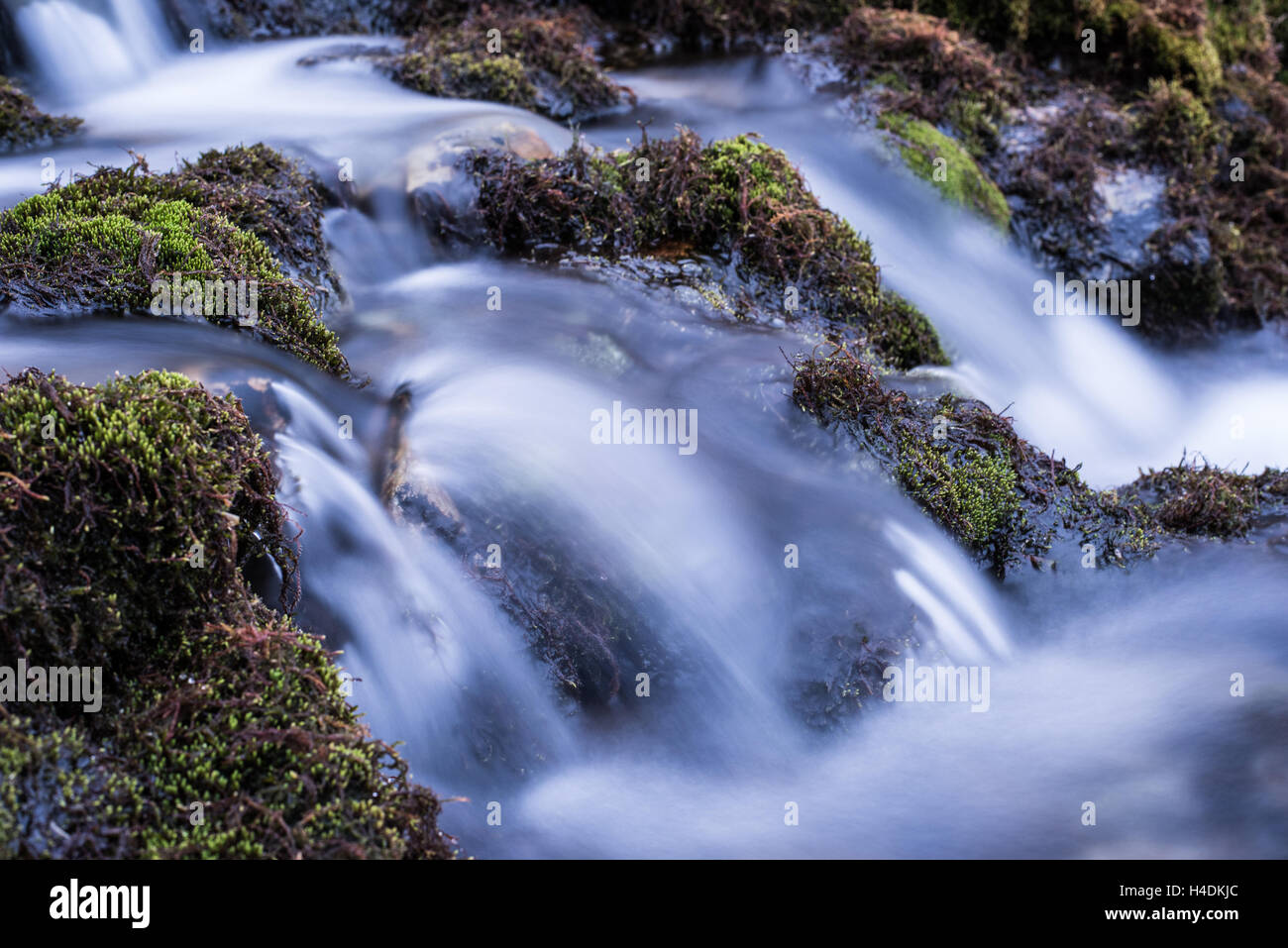 Gebirgsbach | Bergfluss Stockfoto