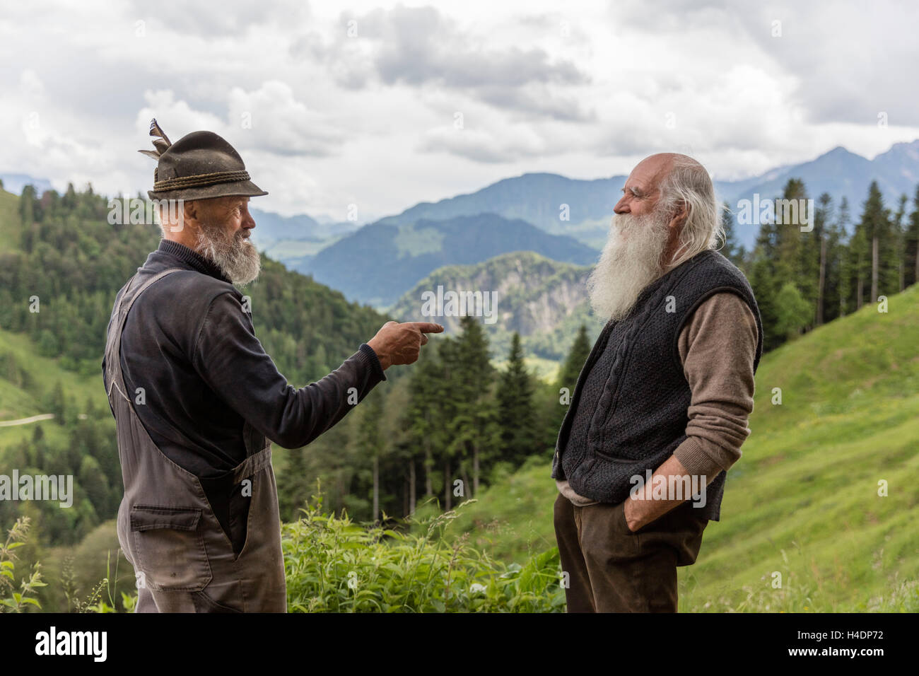 Männer im Gespräch, Alm, Österreich, Deutschland, Grenzgebiet, Stockfoto