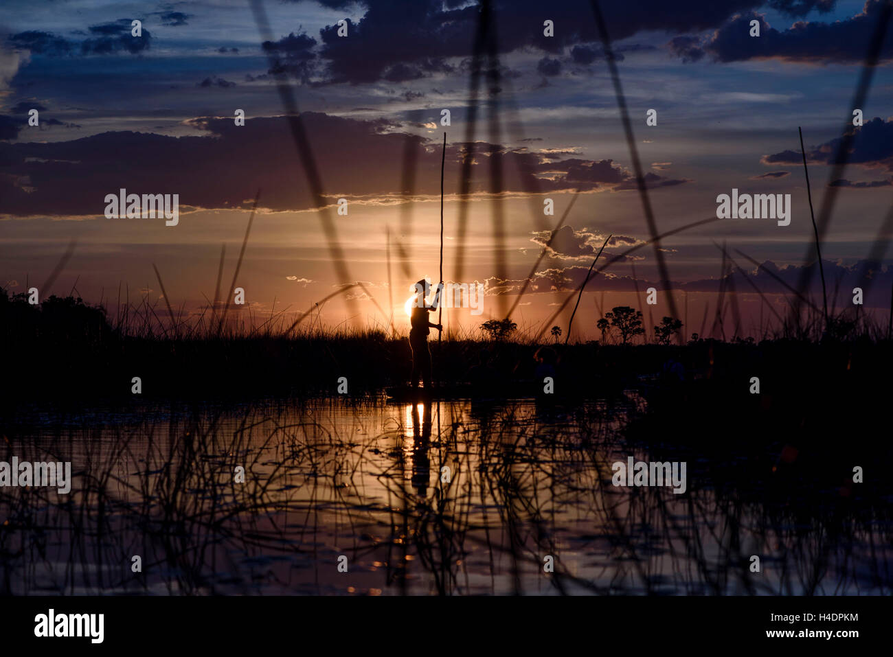 Ein Fischer im Okavango Delta bei Sonnenuntergang, Botswana Stockfoto