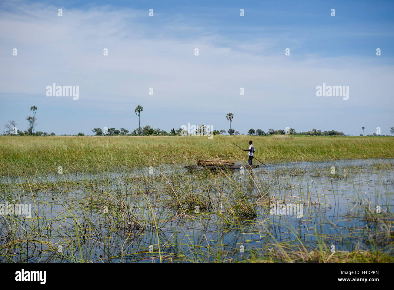 Ein Fischer auf dem Weg mit seinem Mokoro im Okavangodelta, Botswana Stockfoto