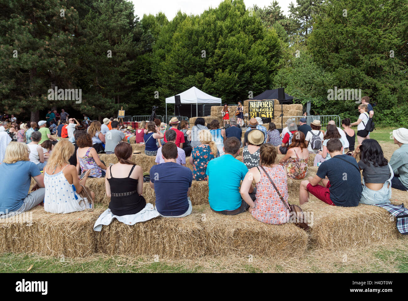 Menschen beobachten Musiker führen bei Alexandra Park Festival, Haringey, London, England, UK Stockfoto