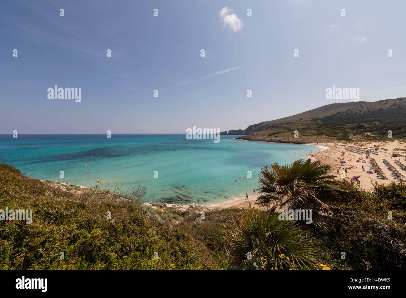 Spanien, Balearen, Insel Mallorca, Küstenvegetation mit Cala Mesquida, Blick aufs Meer, Stockfoto