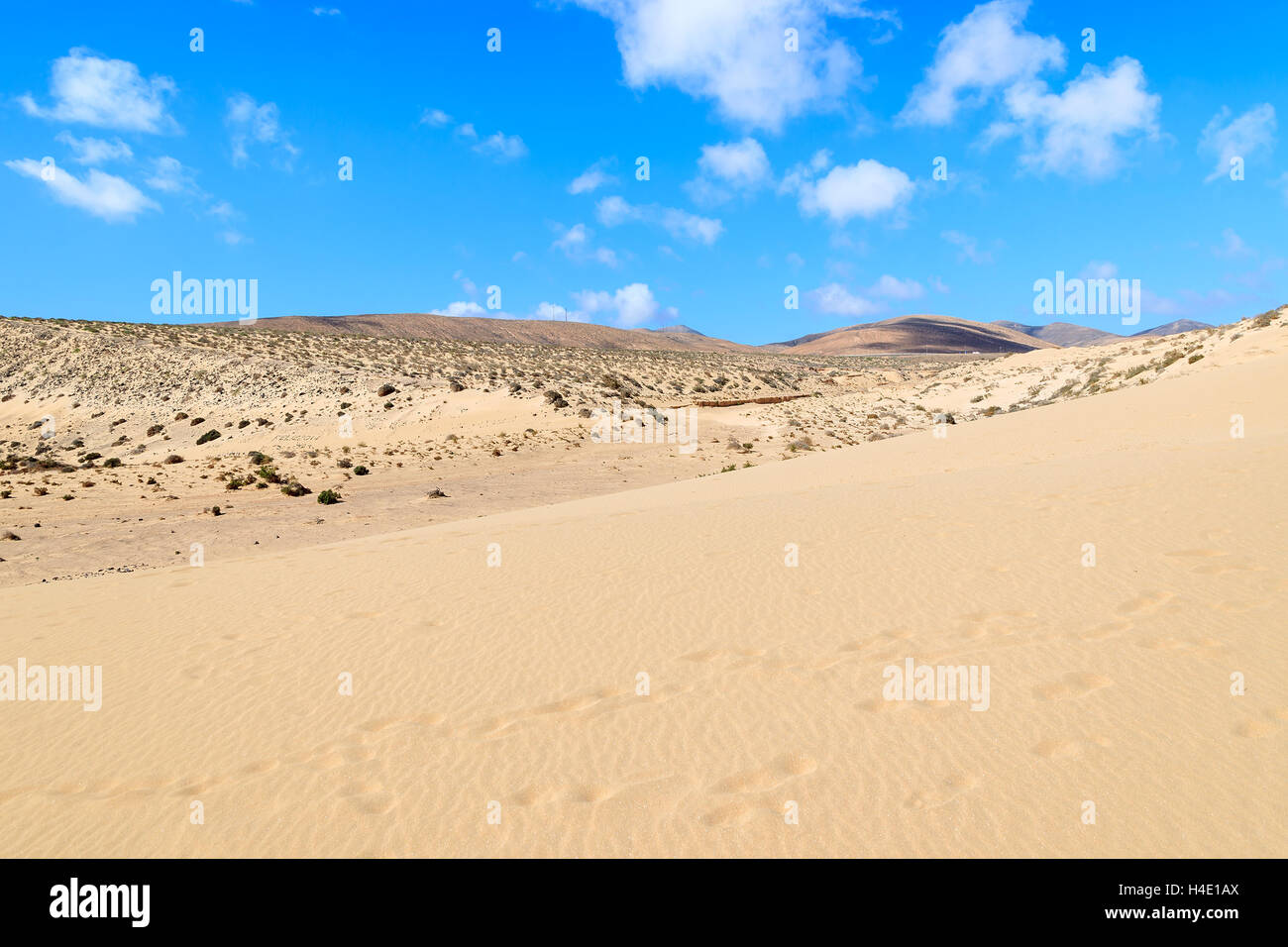 Wüstenlandschaft und Sanddüne am Sotavento Strand Jandia Peninsula, Fuerteventura, Kanarische Inseln, Spanien Stockfoto