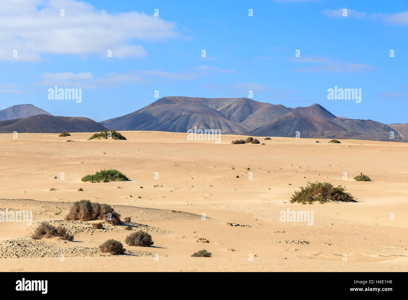 Vulkanberge in Wüstenlandschaft von Sanddünen im Nationalpark von Corralejo, Fuerteventura, Kanarische Inseln, Spanien Stockfoto