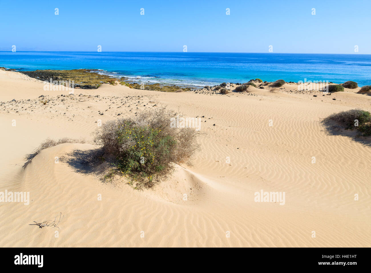 Sanddünen in Corralejo National Park und Blick auf Meer, Fuerteventura, Kanarische Inseln, Spanien Stockfoto