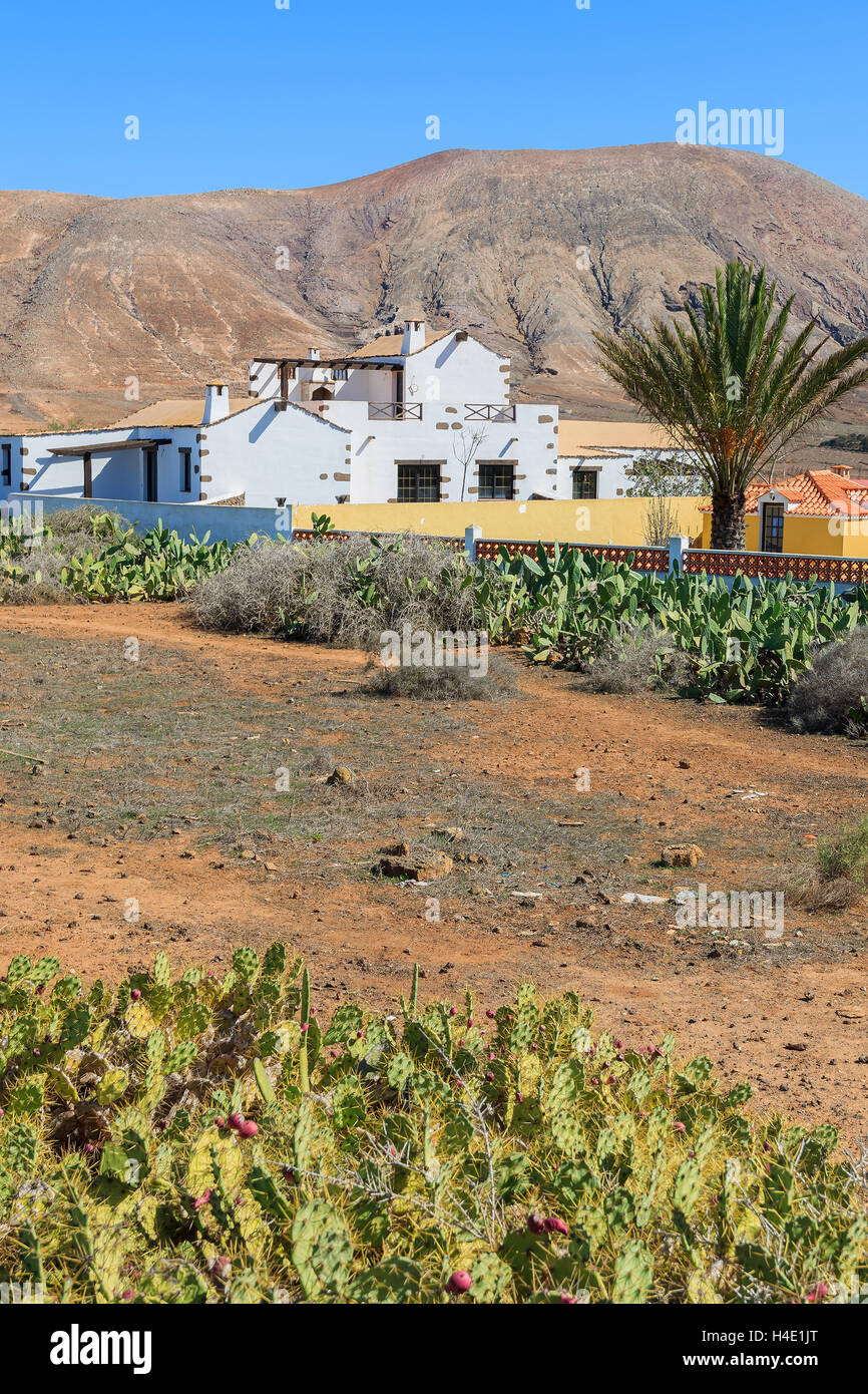 Typisch kanarische Stil weißes Haus in ländlichen Gegend von La Ampuyenta Dorf und Kakteen Pflanzen im Vordergrund, Fuerteventura, Kanarische Inseln, Spanien Stockfoto