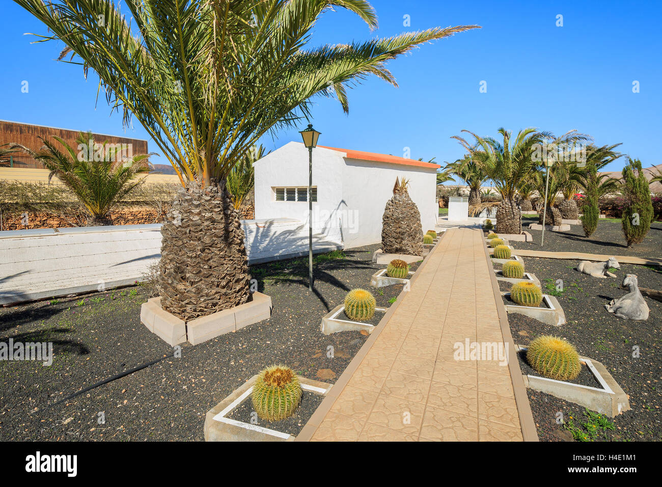 Gebäude im kanarischen Stil und tropischen Pflanzen in La Oliva Village Erbe Art Center, Fuerteventura, Kanarische Inseln, Spanien Stockfoto