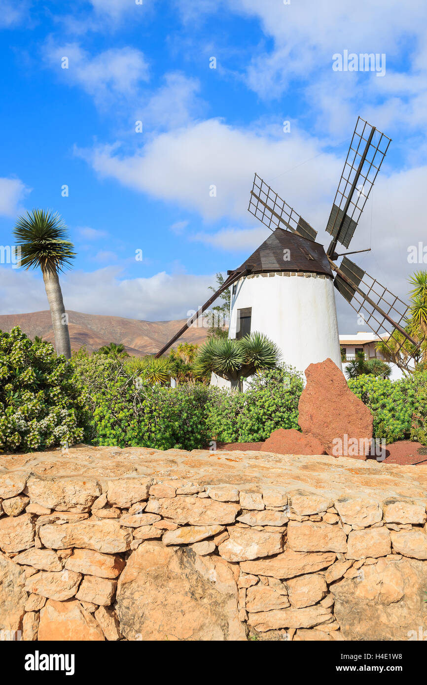 Alte Windmühle in einem tropischen Garten von Antigua Dorf, Fuerteventura, Kanarische Inseln, Spanien Stockfoto