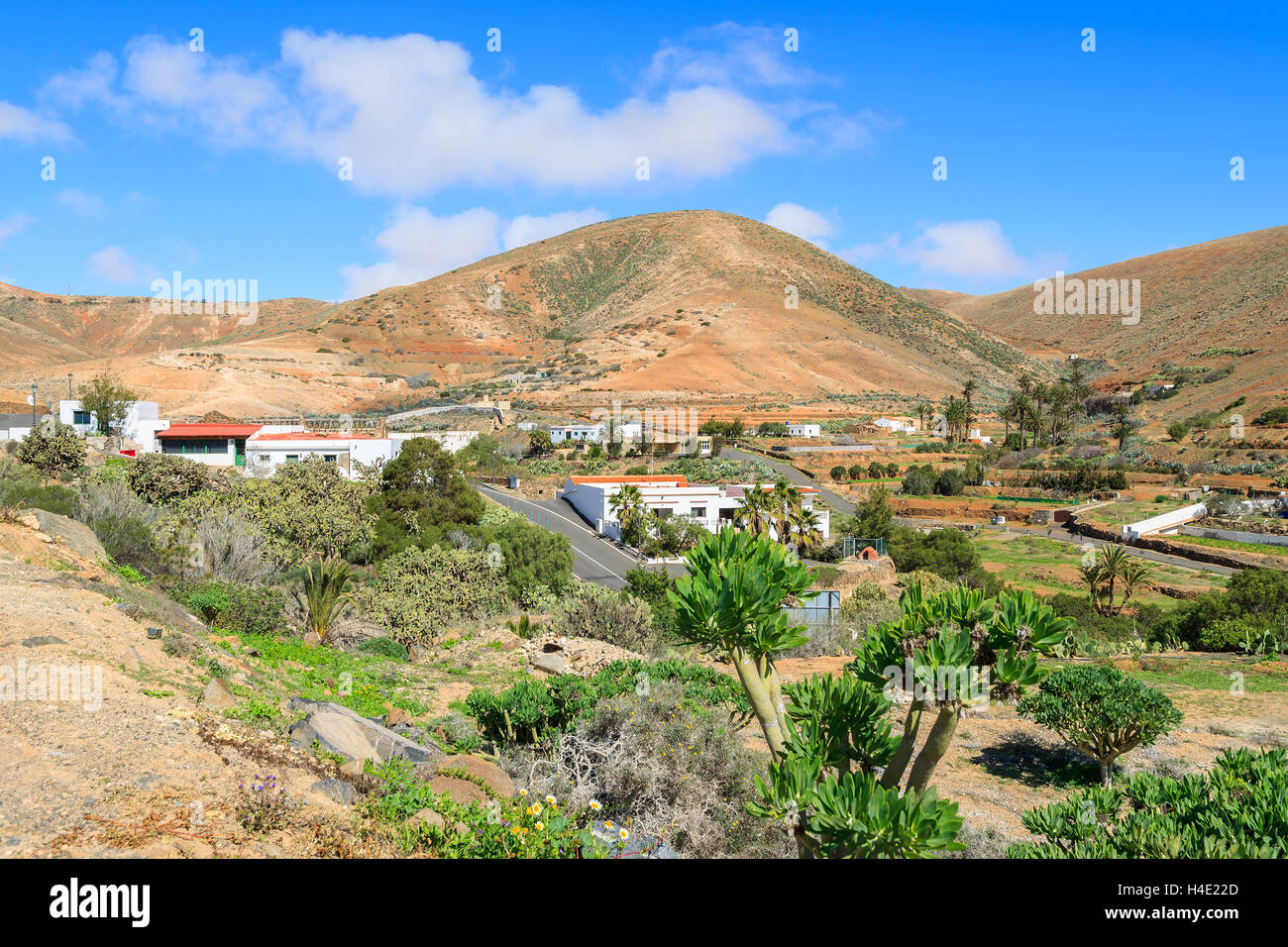 Grüne tropische Pflanze und Berg Landschaft in Betancuria Dorf, Fuerteventura, Kanarische Inseln, Spanien Stockfoto