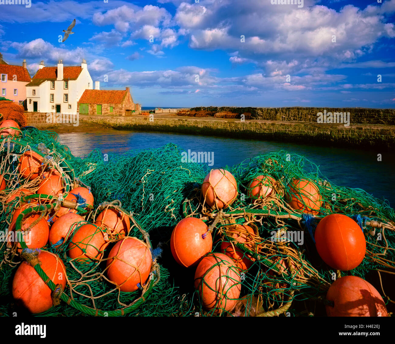 GB - Schottland: Pittenweem Hafen Stockfoto