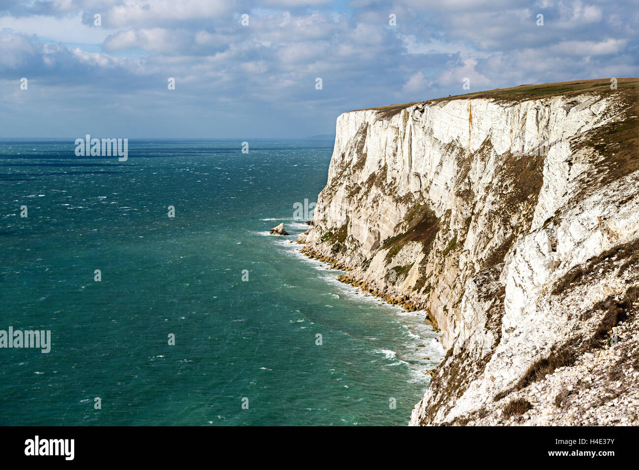 Weißen Kreidefelsen auf Tennyson Down, Isle Of Wight, Großbritannien Stockfoto