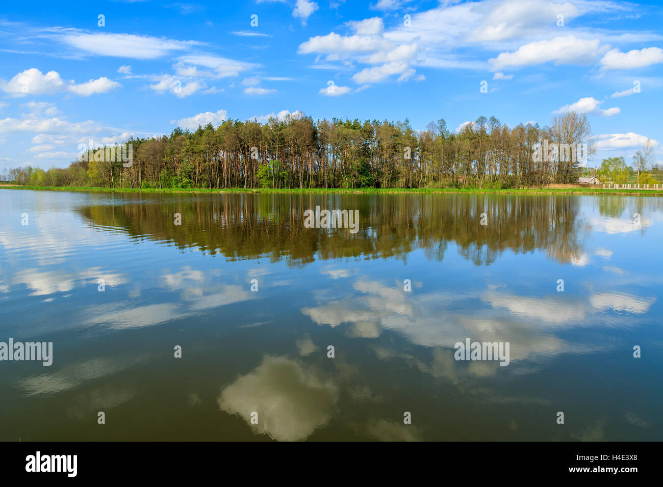 Reflexion der Wolken im Wasser eines Sees und Bäume im Hintergrund - idyllische malerische Landschaftsansicht, Polen Stockfoto
