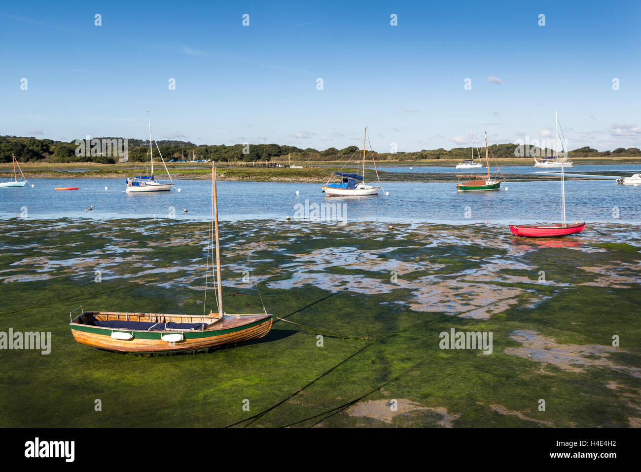 Ebbe in Newtown Hafen NNR, Isle Of Wight, Großbritannien Stockfoto