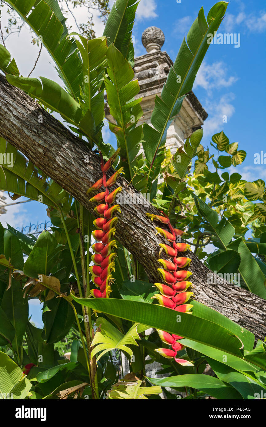 Florida, Miami, Coconut Grove, Vizcaya Gärten Stockfoto