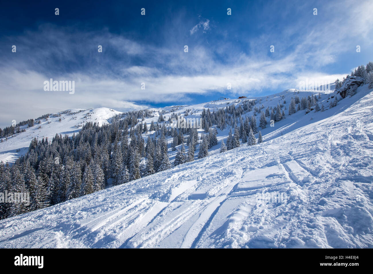Bäumen fallenden Neuschnee in Kitzbühel Ski Resort, Tiroler Alpen, Österreich Stockfoto