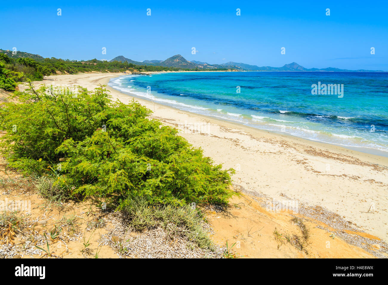 Peppino Strand und Kristall klaren türkisblauen Meer, Insel Sardinien, Italien Stockfoto