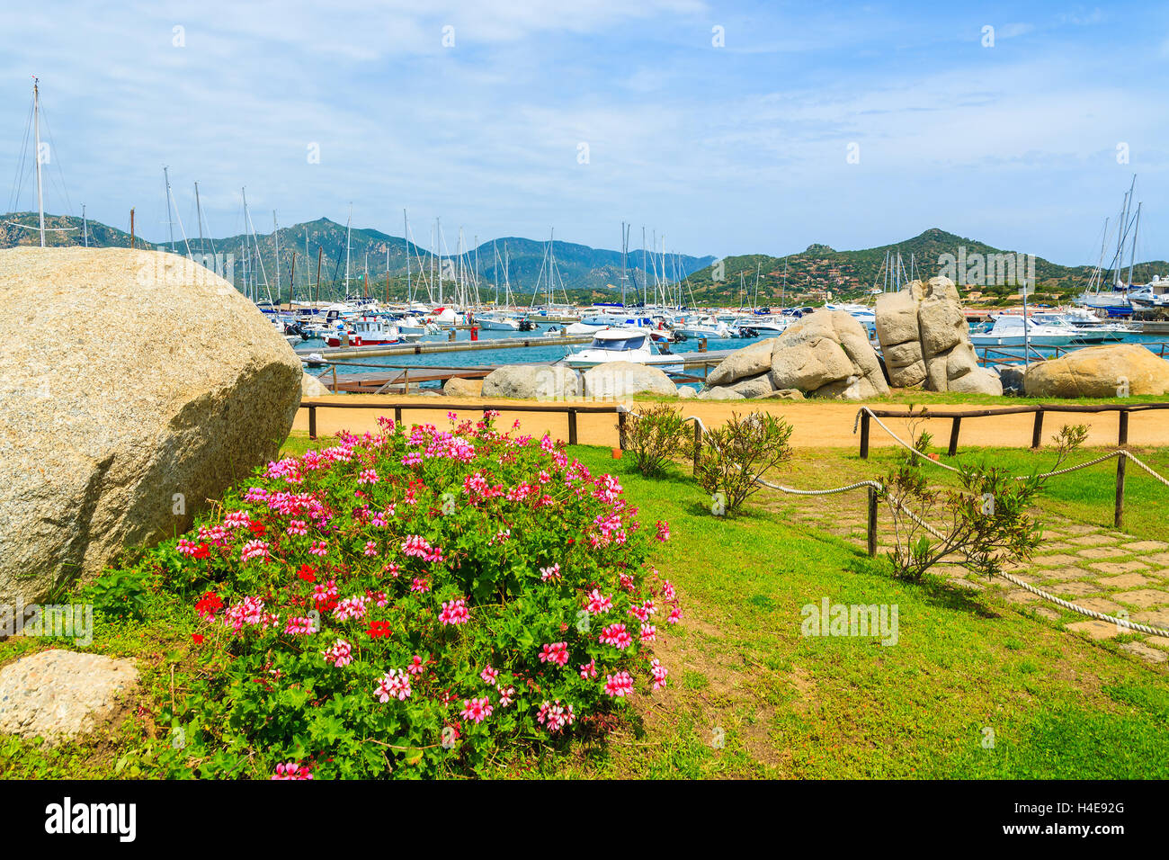 Blumen in der Marina von Porto Giunco, Insel Sardinien, Italien Stockfoto