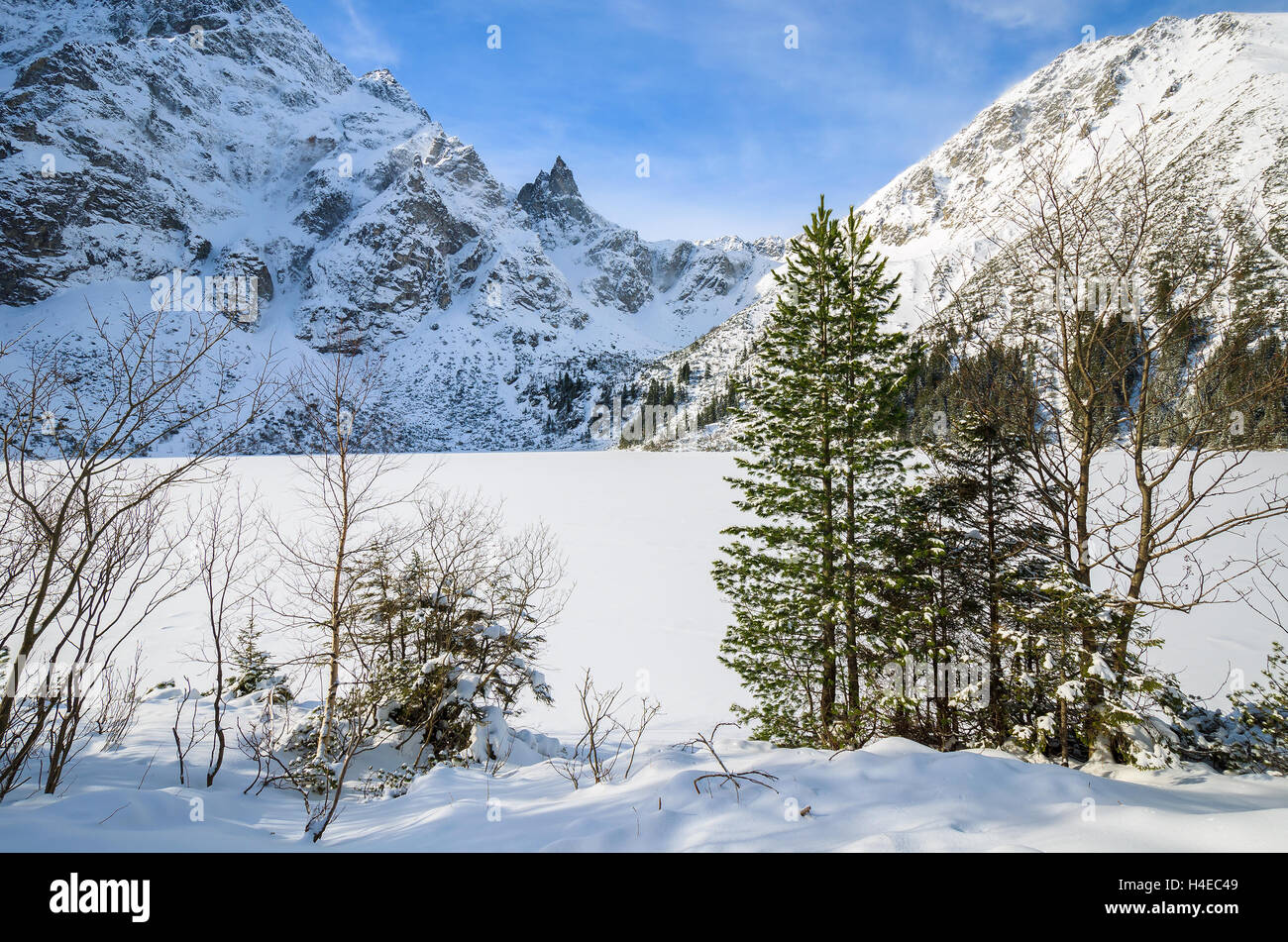 Mit Schnee bedeckt Morskie Oko-See im Winter, hohen Tatra, Polen Stockfoto