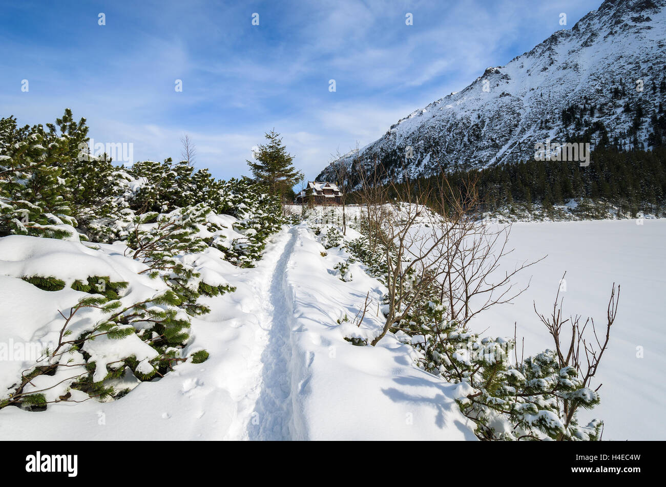Schnee Weg zur Morskie Oko-Hütte im Winter, hohen Tatra, Polen Stockfoto