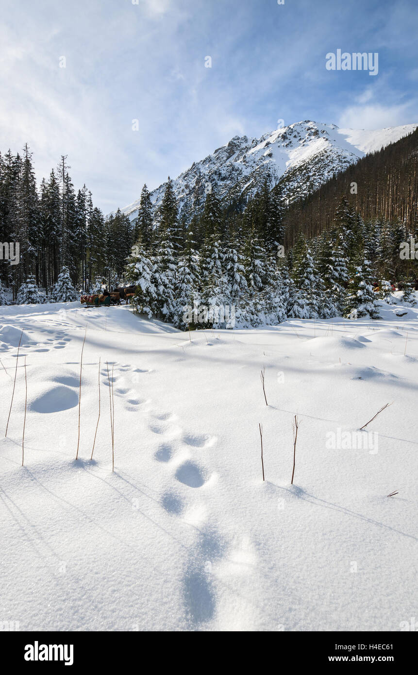 Fußspuren im Schnee in der Nähe von Lake Morskie Oko in Winter, hohen Tatra, Polen Stockfoto