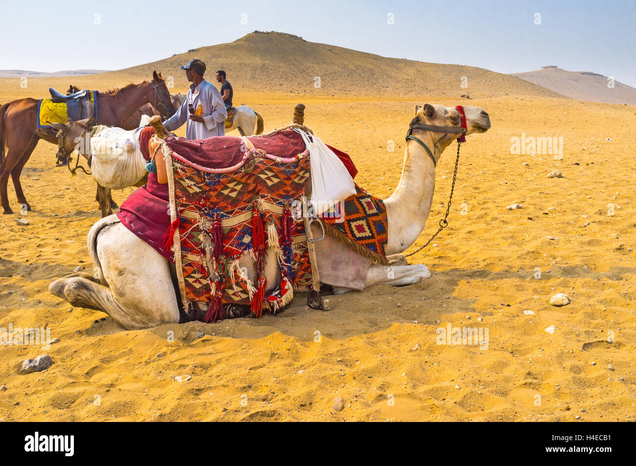 Die Anbieter verkaufen frische Getränke in der Wüste, Giza, Ägypten mitten Stockfoto