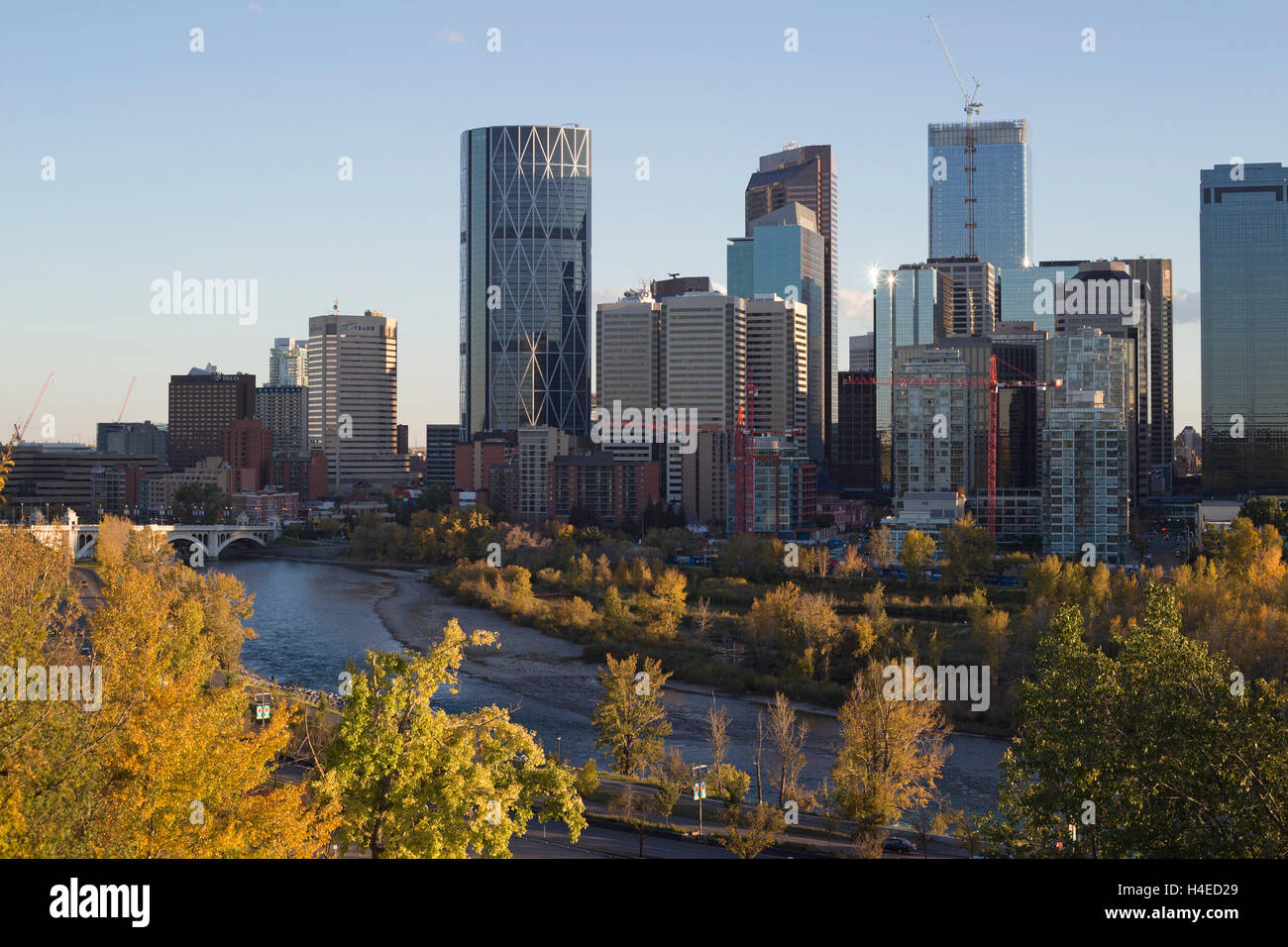 Die Skyline von Calgary mit dem Bow River und dem Flusstal im Herbst, Kanada Stockfoto