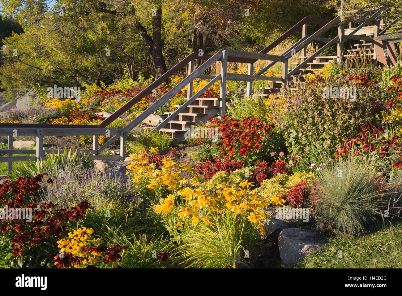 Treppe durch Blumengarten hinauf zum Mt. Schöner Aussichtspunkt im Rotary Park Stockfoto