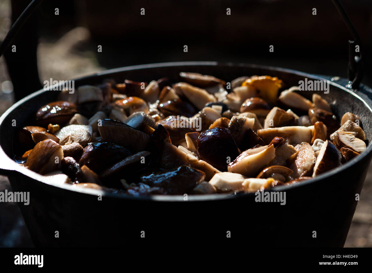 Topf auf dem Feuer mit Pilzen im Wald am Ufer des Flusses in der Natur Stockfoto