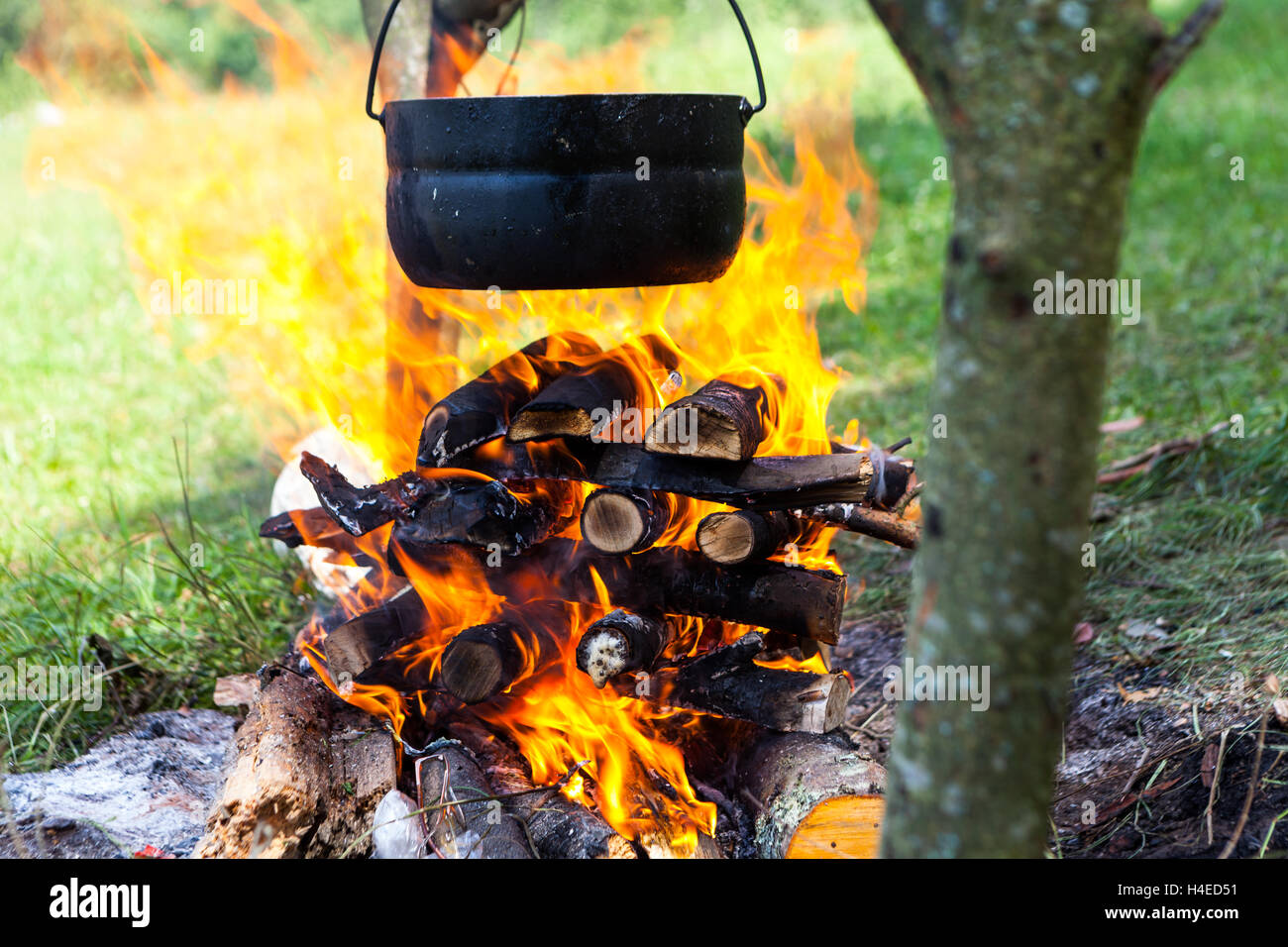Topf auf dem Feuer mit Pilzen im Wald am Ufer des Flusses in der Natur Stockfoto