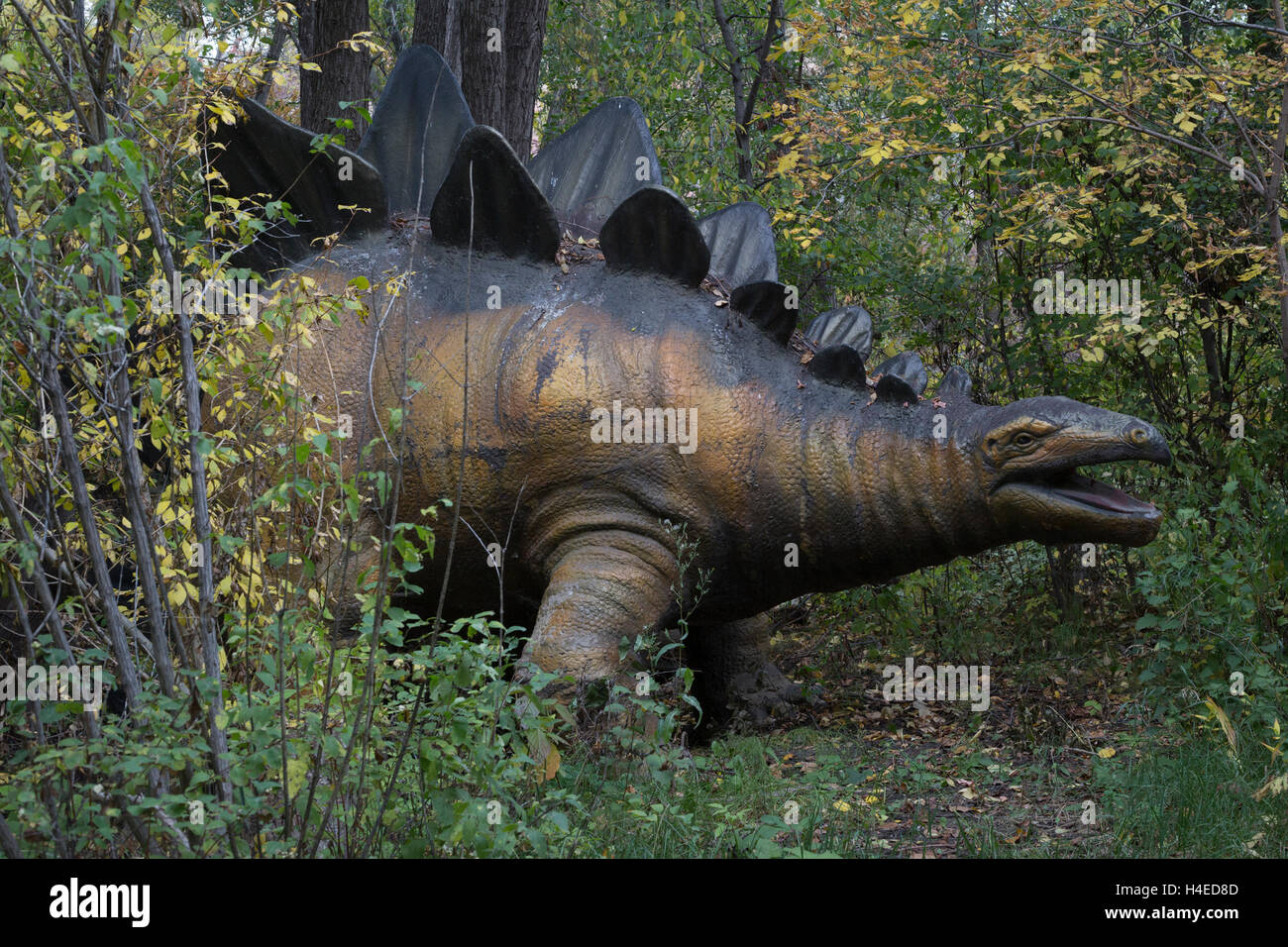 Stegosaurus Dinosaurier-Modell im Wald eines prähistorischen Parks Stockfoto