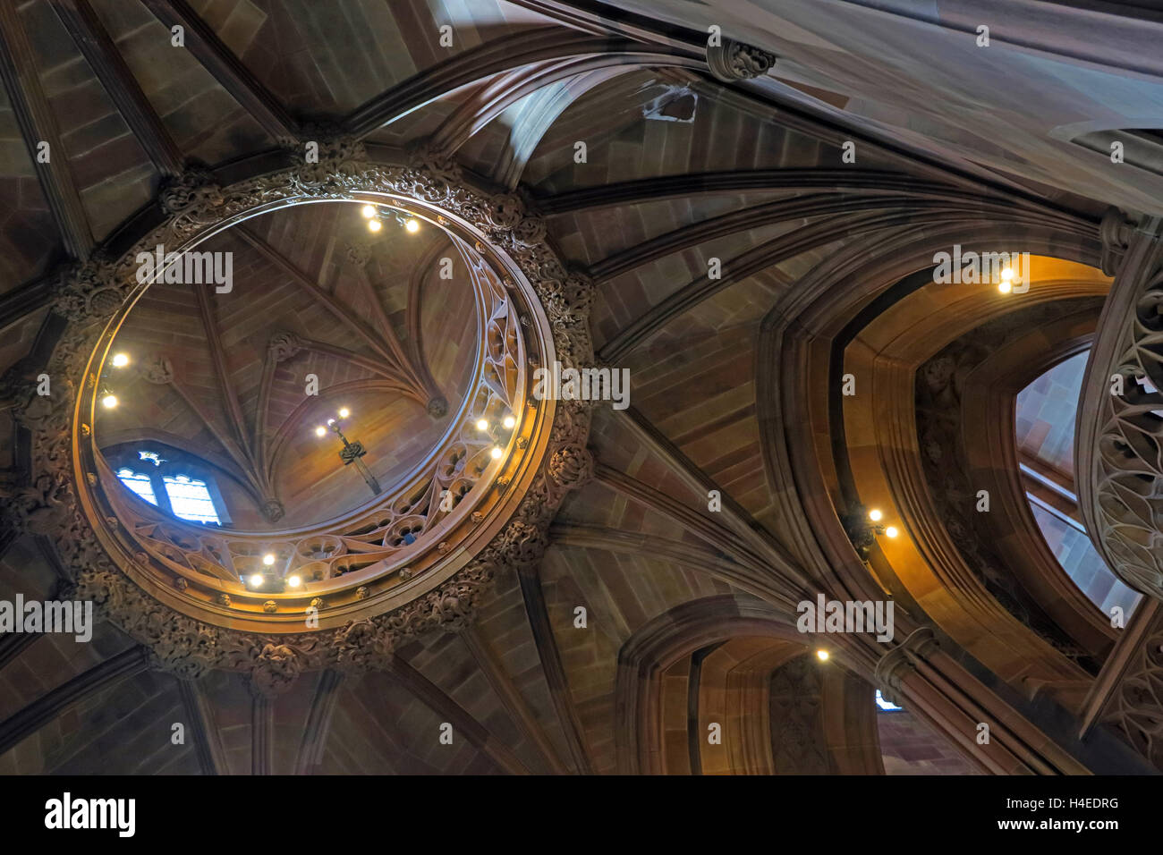 John Rylands historische Bibliothek Decke, Deansgate, Manchester, England, Vereinigtes Königreich Stockfoto