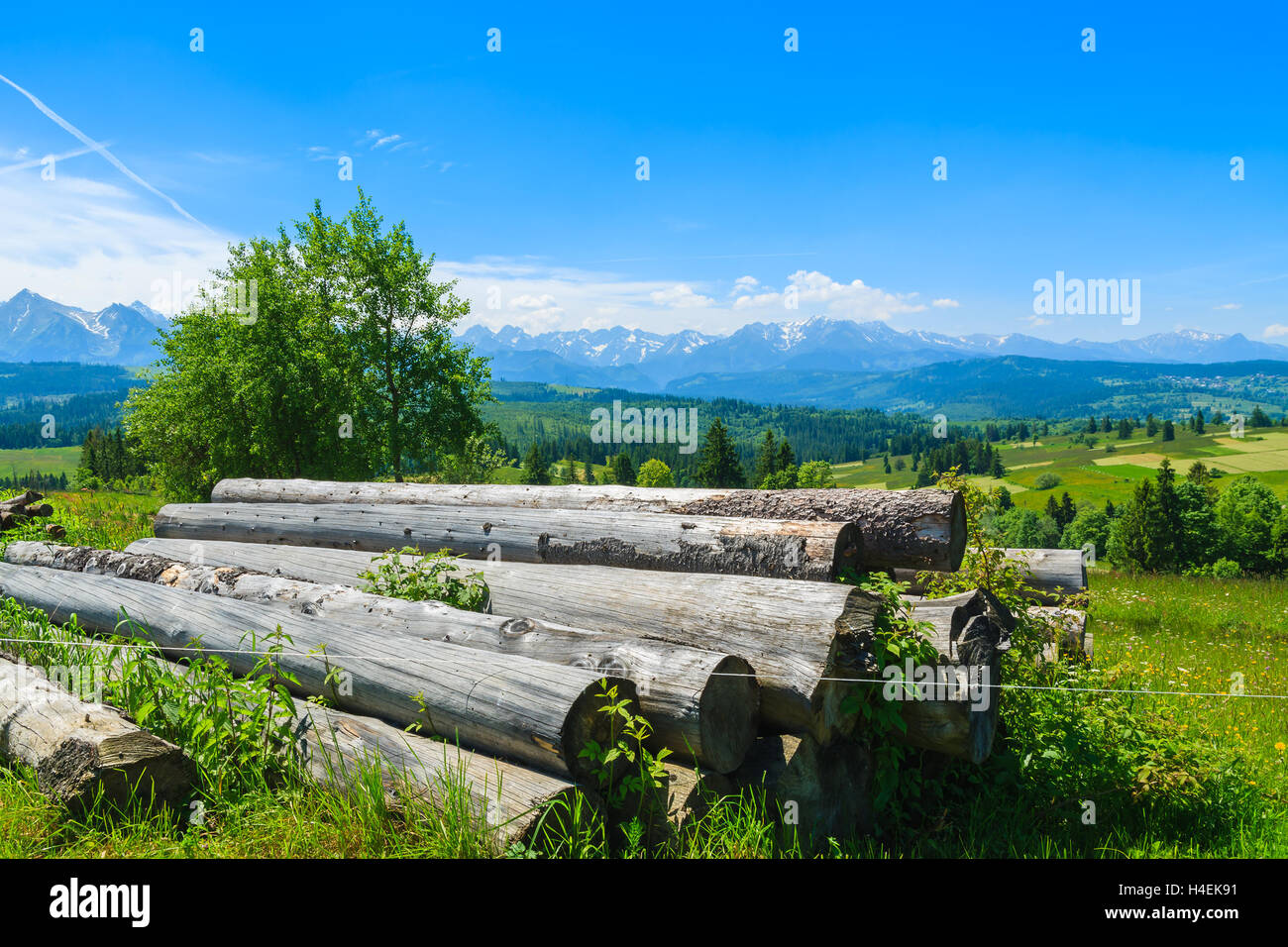 Holzscheite auf grüner Wiese mit Blick auf Berge, Lapszanka, Tatra-Berge Stockfoto