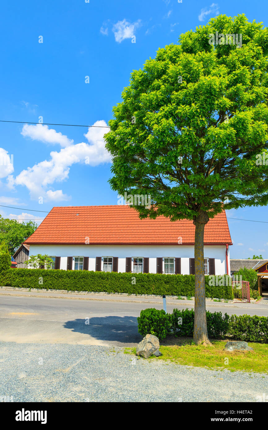 Grüner Baum und traditionelles Haus im kleinen Dorf von Güssing in die Weinregion des Burgenlandes, Süd-Österreich Stockfoto