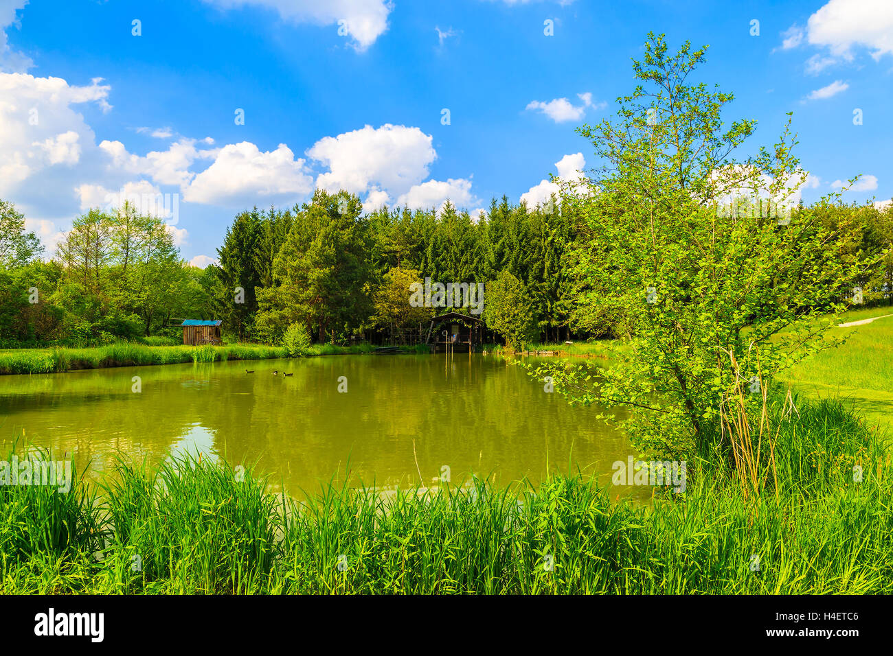 Ein kleiner See im wunderschönen Sommerlandschaft, Österreich Stockfoto