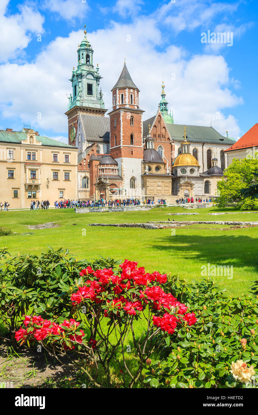 Wawel-Schloss im Frühjahr und rote Blumen blühen, Krakau, Polen Stockfoto