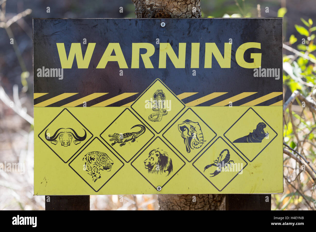 Warnzeichen gefährliche Tiere, Manyeleti Game Reserve, Südafrika Stockfoto