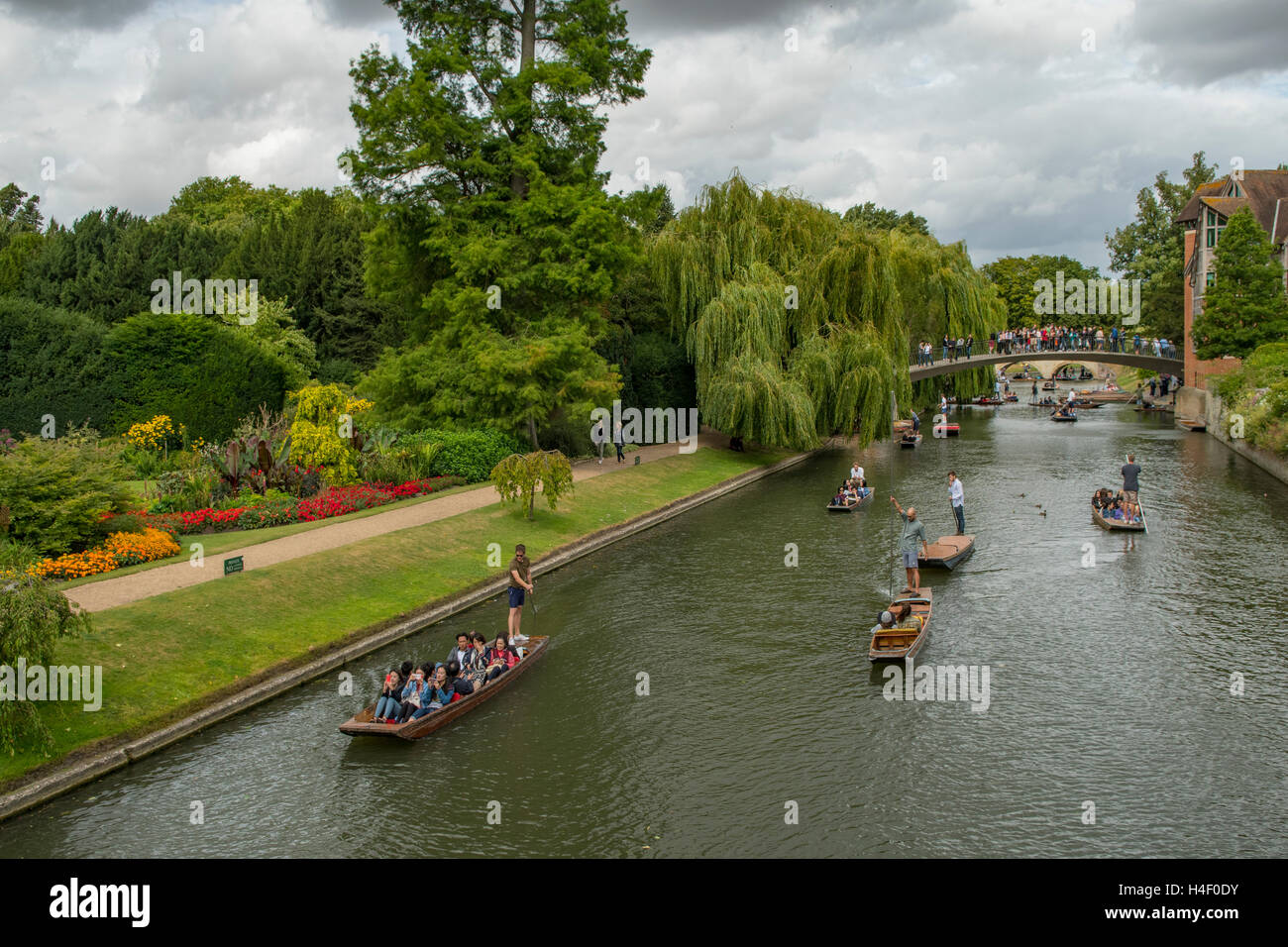 Bootfahren auf der Cam, Cambridge, Cambridgeshire, England Stockfoto