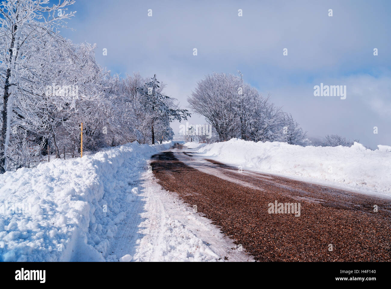 Straße im Schnee mit bewölktem Himmel Stockfoto