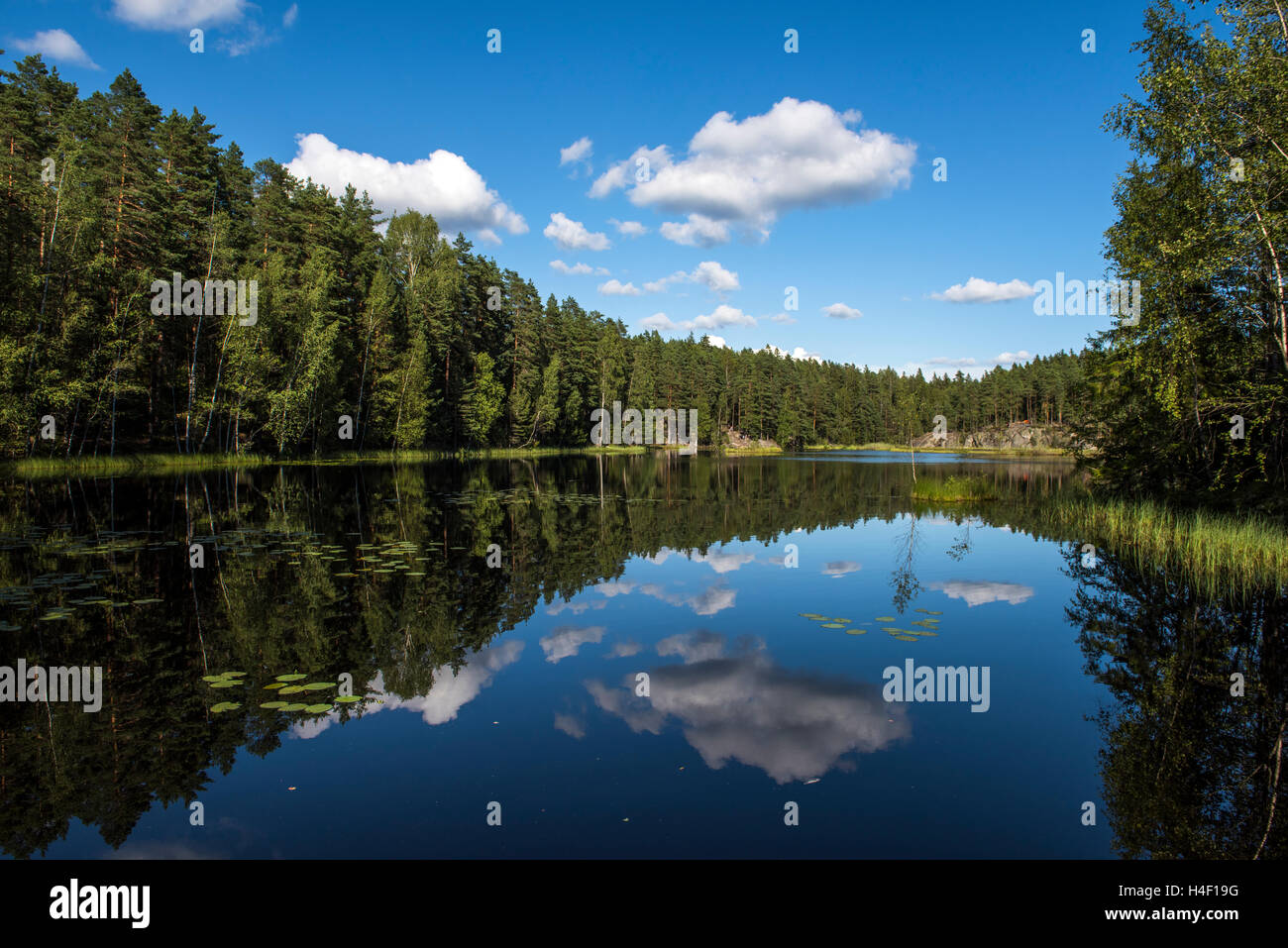 Kiefernwald und Teich mit Spiegelbild im Wasser, Nuuksio Nationalpark, Finnland Stockfoto