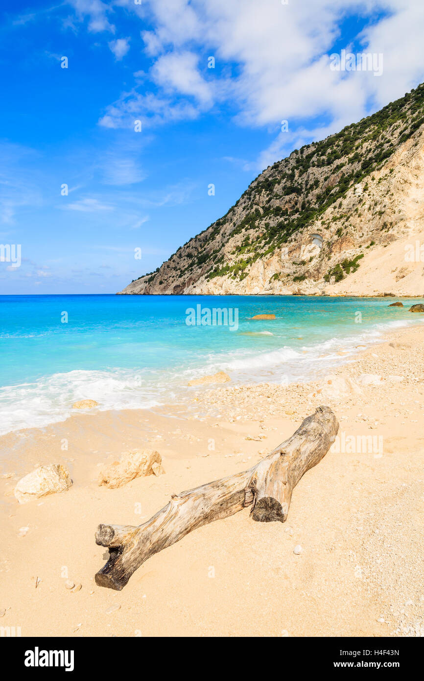 Trockenen Baumstamm am idyllischen Myrtos Sandstrand, Insel Kefalonia, Griechenland Stockfoto
