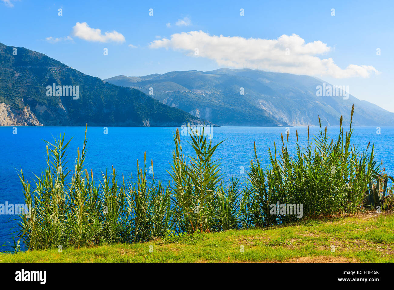 Blick auf die schöne Küste von Kefalonia Insel, Griechenland Stockfoto