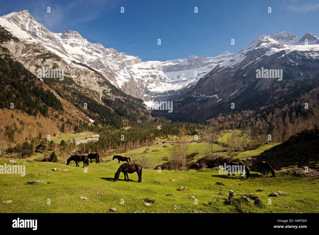 Der Cirque de Gavarnie, Stockfoto