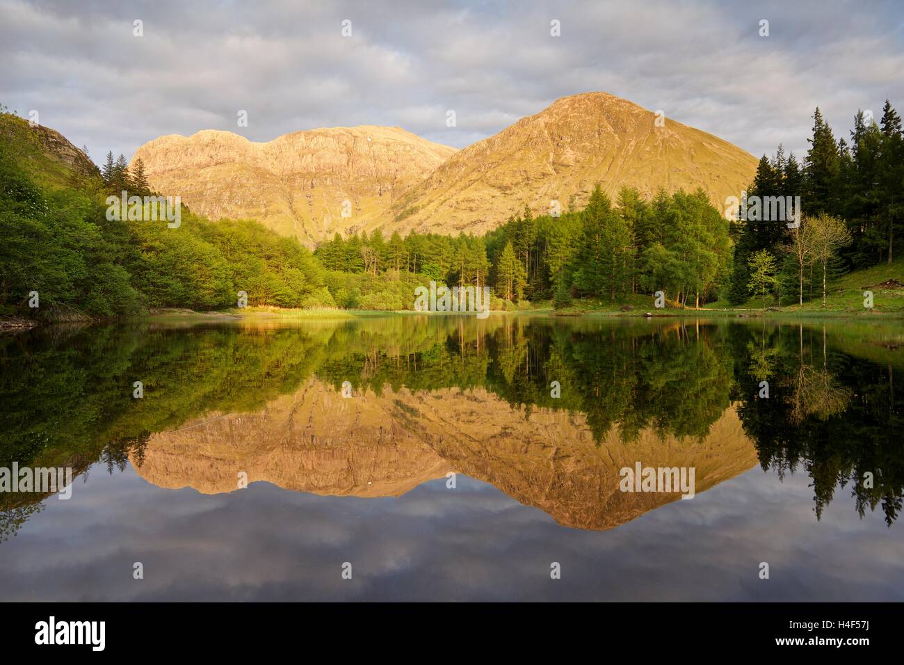 Sommer-Reflexionen von Bidean Nam Bian in den stillen Wassern des Torren Lochan in Glencoe Stockfoto