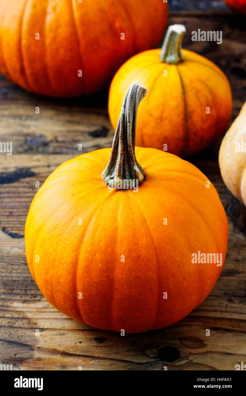 Kürbisse auf Holz- Hintergrund. Herbst Dekor Stockfoto