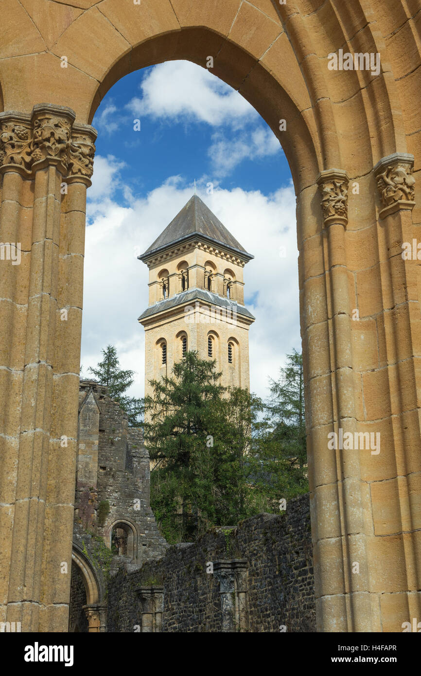 Orval Abbey, Ruinen und Kirche Stockfoto