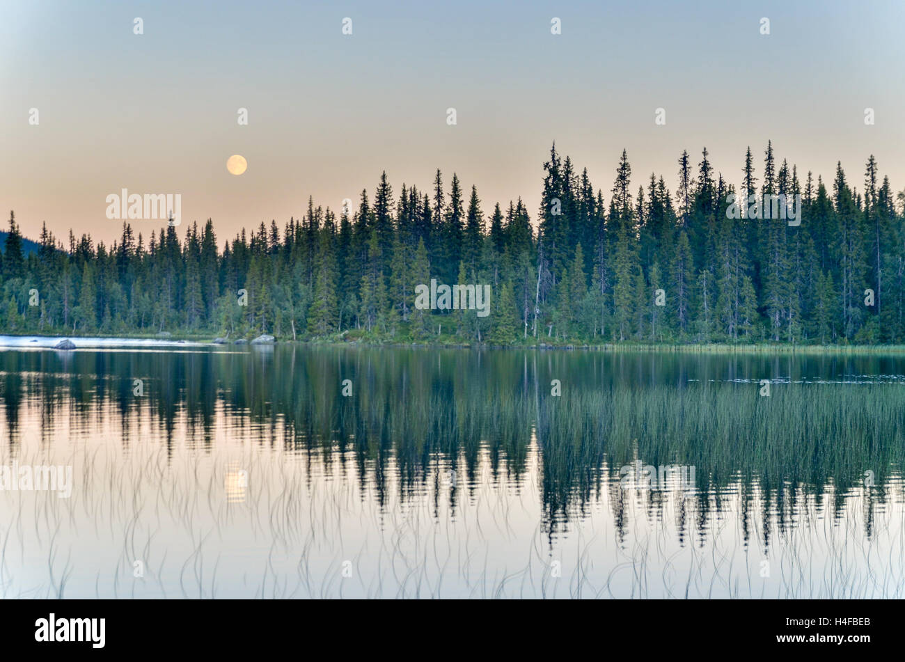 Vollmond über einen See in einem Wald von Schweden, während des Sonnenuntergangs Stockfoto