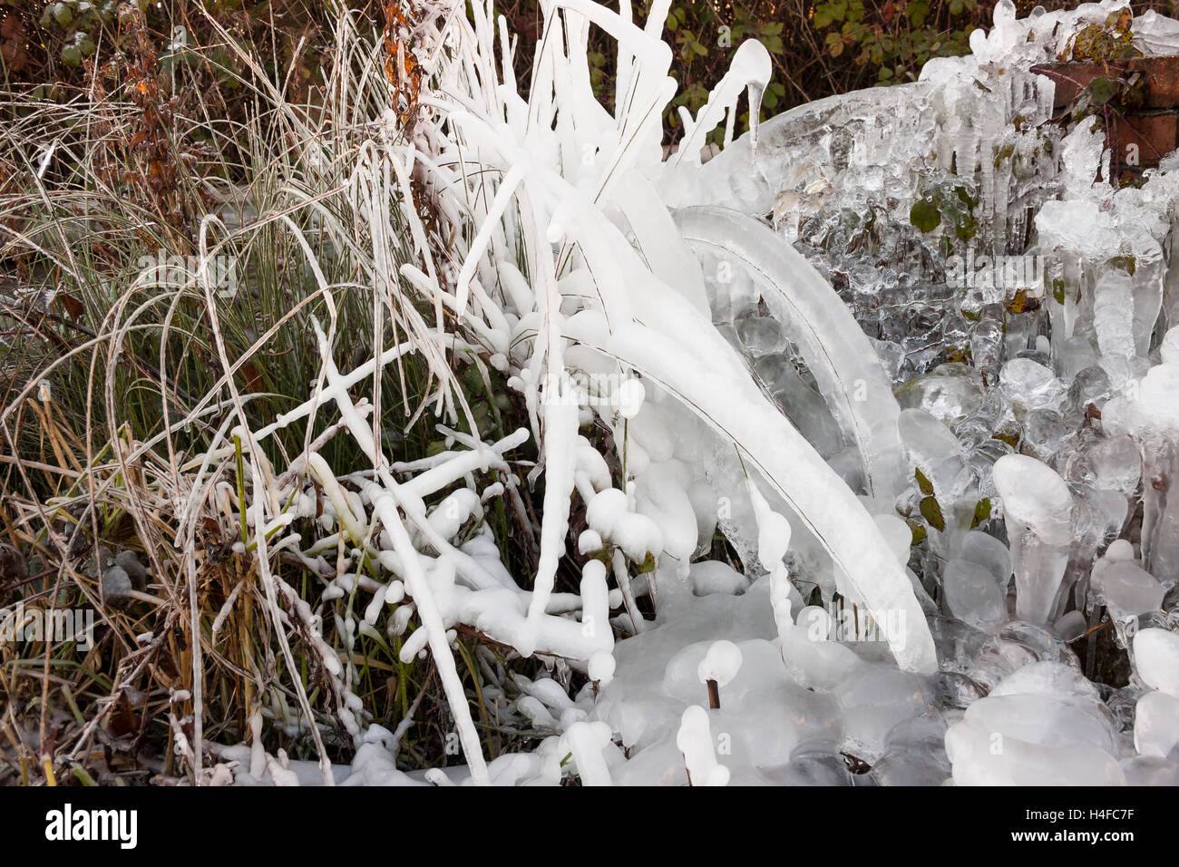 Natureis Skulptur abstrakte Formen der Pflanzen in Eis eingefroren Stockfoto