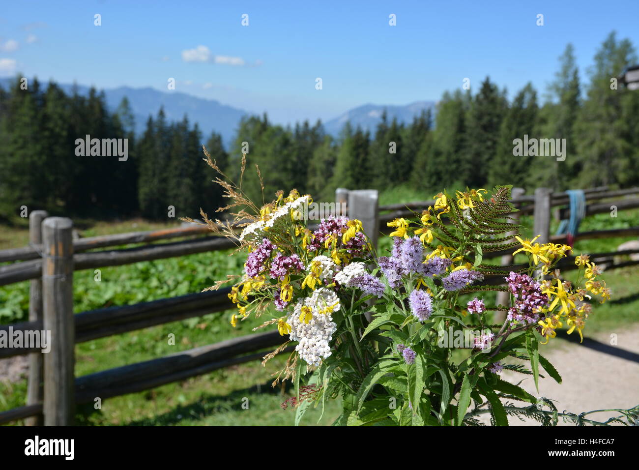 Berchtesgaden, Deutschland - 26. August 2016 - romantische Hütte mit Blumen in den deutschen Alpen Stockfoto