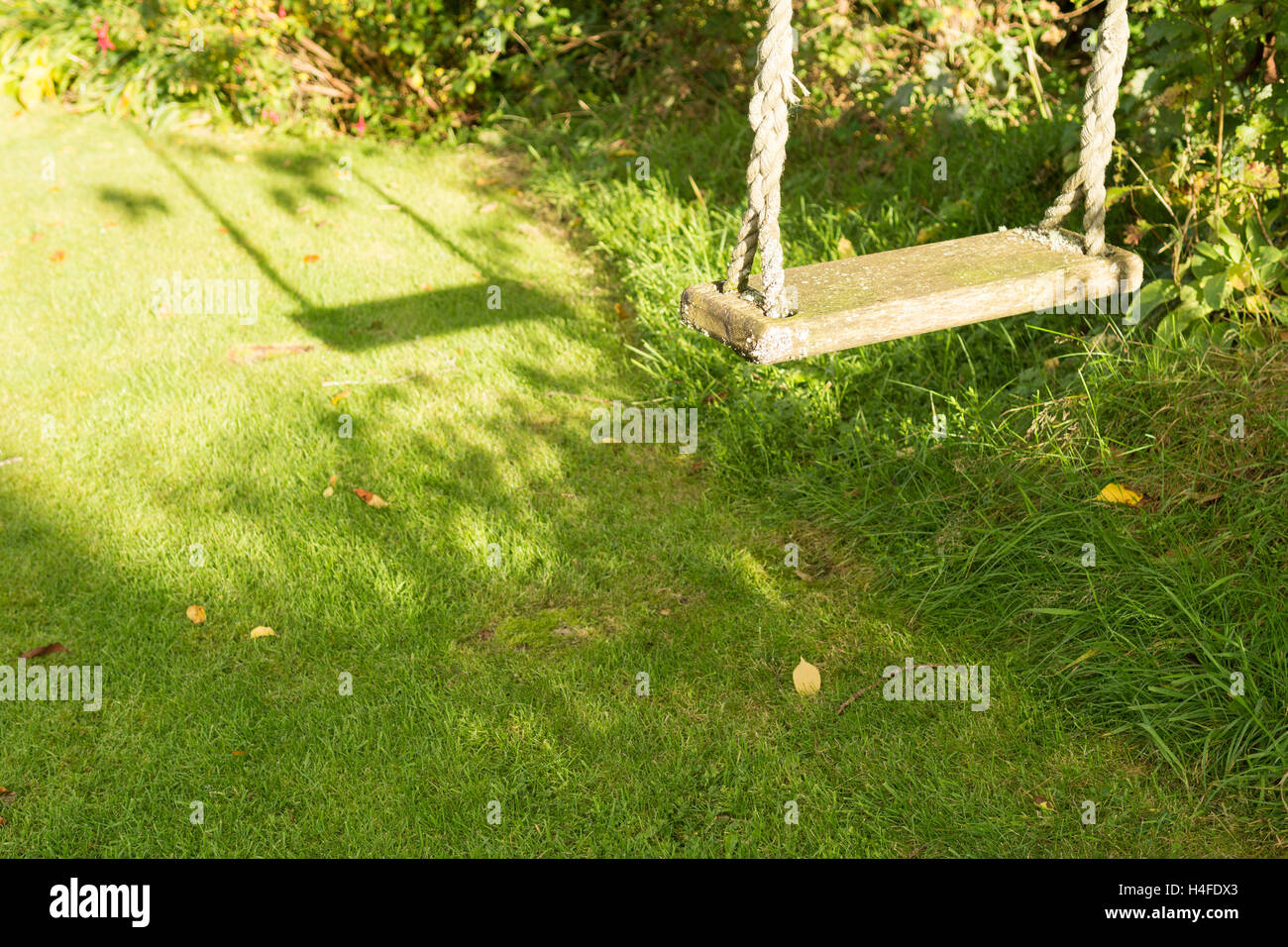 leeren Garten Baum schwingen im Sommer mit Schaukel Schatten auf Rasen und Kopie Raum Stockfoto