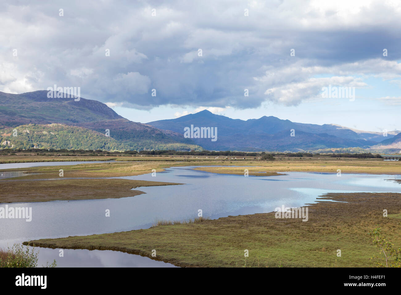 Glaslyn Sümpfe SSSI, Porthmadog und Snowdonia Bergkette in der Ferne, Snowdonia National Park, North Wales, UK Stockfoto